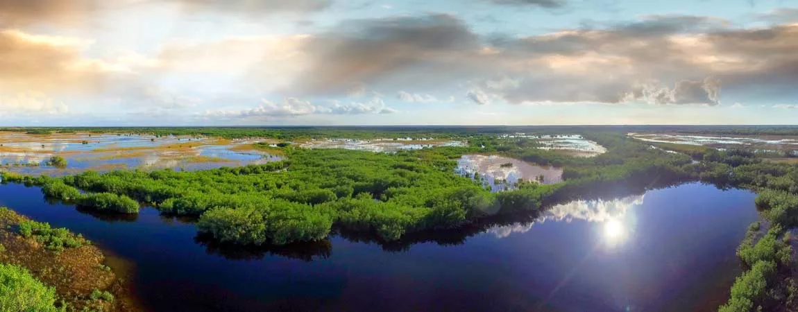 Parcs et plages de Floride - 14 jours