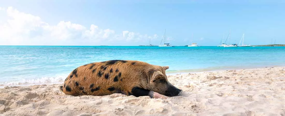 Combiné Nassau, Exumas et Long Island - 9 jours