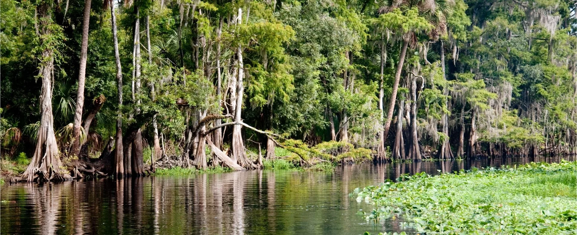 SUD DES ETATS-UNIS